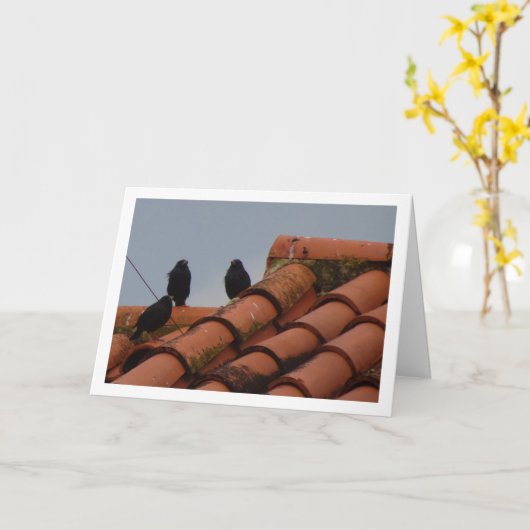 Spreeuwvogels op Rooftop Kaart (Gele Bloem)
