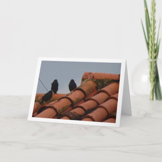 Spreeuwvogels op Rooftop Kaart (Voorkant)