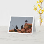 Spreeuwvogels op Rooftop Kaart (Gele Bloem)