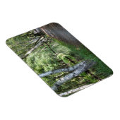 Spreewaldkanaal Magneet (Rechterzijde)