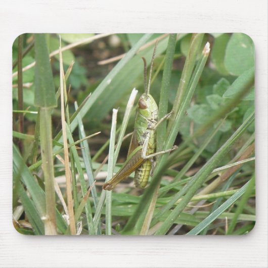 Spreheide camouflage muismat (Voorkant)