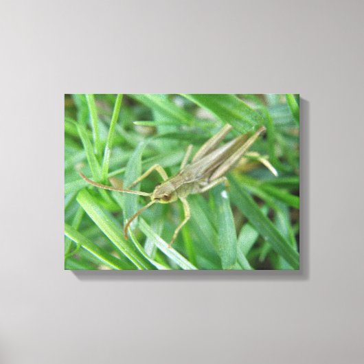 Spreidblad Canvasprint Canvas Afdruk (Voorkant)