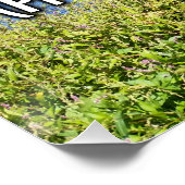 Spreuken 31:11 WEBU Perfect Poster (Hoek)