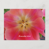 Spreuken 3: 3-4 Liefde en Trouw Briefkaart (Achterkant)