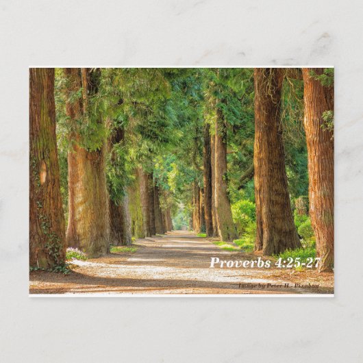 Spreuken 4:25-27 briefkaart (Achterkant)