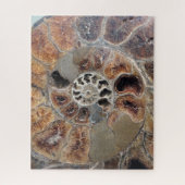 Sprial Shell Fossil Legpuzzel (Verticaal)