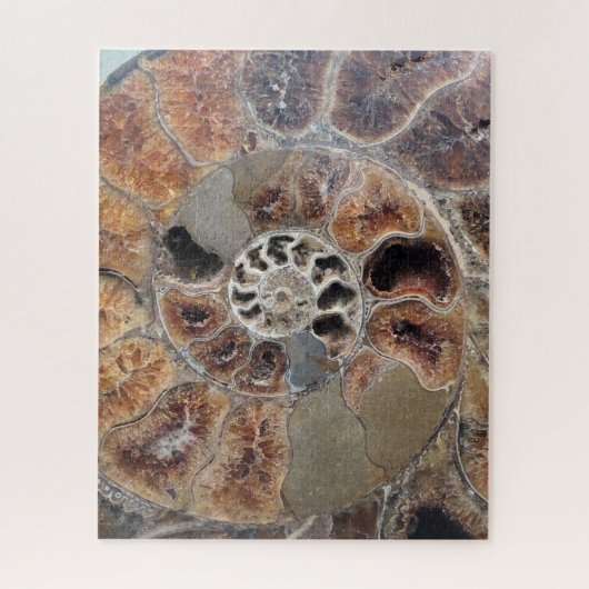Sprial Shell Fossil Legpuzzel (Verticaal)