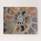 Sprial Shell Fossil Legpuzzel (Horizontaal)
