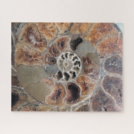 Sprial Shell Fossil Legpuzzel (Horizontaal)