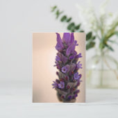 Sprig van Lavender Briefkaart (Staand voorkant)