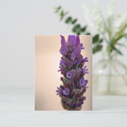 Sprig van Lavender Briefkaart (Staand voorkant)