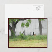 ~ Spring 36 ~ Briefkaart (Voorkant / Achterkant)