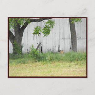 ~ Spring 36 ~ Briefkaart