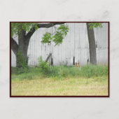 ~ Spring 36 ~ Briefkaart (Voorkant)