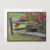 ~ Spring 41 ~ Briefkaart (Voorkant / Achterkant)