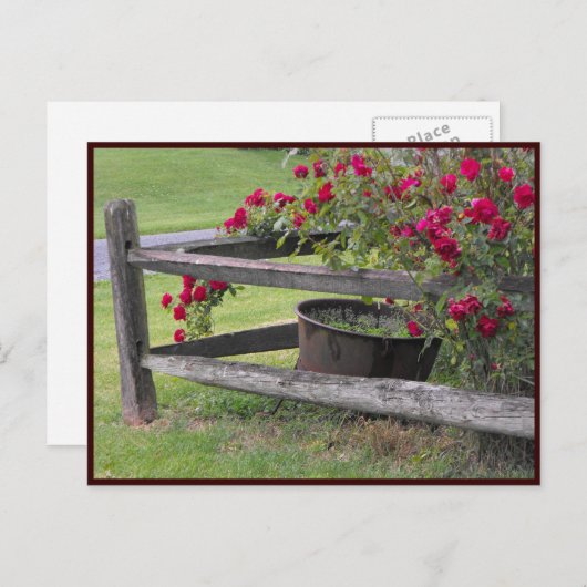 ~ Spring 41 ~ Briefkaart (Voorkant / Achterkant)