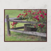 ~ Spring 41 ~ Briefkaart (Voorkant)