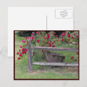 ~ Spring 42 ~ Briefkaart (Voorkant / Achterkant)