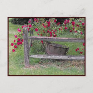 ~ Spring 42 ~ Briefkaart