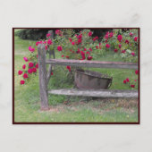 ~ Spring 42 ~ Briefkaart (Voorkant)