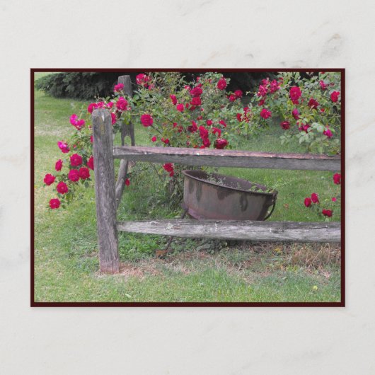 ~ Spring 42 ~ Briefkaart (Voorkant)