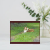 ~ Spring 46 ~ Briefkaart (Staand voorkant)