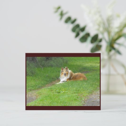 ~ Spring 46 ~ Briefkaart (Staand voorkant)