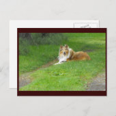 ~ Spring 46 ~ Briefkaart (Voorkant / Achterkant)