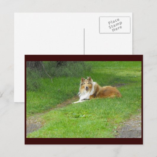 ~ Spring 46 ~ Briefkaart (Voorkant / Achterkant)