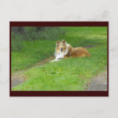 ~ Spring 46 ~ Briefkaart (Voorkant)