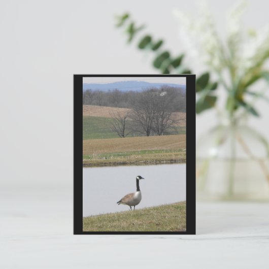 ~ Spring 65 ~ Briefkaart (Staand voorkant)