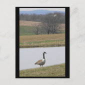 ~ Spring 65 ~ Briefkaart (Voorkant)