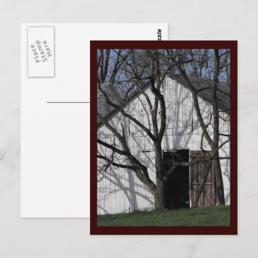 ~ Spring 6 ~ Briefkaart (Voorkant / Achterkant)