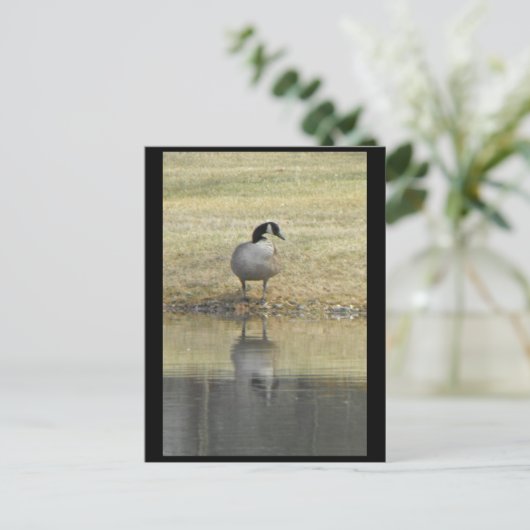 ~ Spring 71 ~ Briefkaart (Staand voorkant)