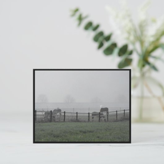 ~ Spring 79 ~ Briefkaart (Staand voorkant)