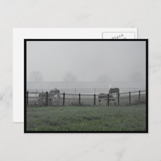 ~ Spring 79 ~ Briefkaart (Voorkant / Achterkant)