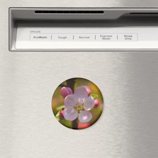 Spring Apple Blossom Magneet (Insitu (Vaatwasser))