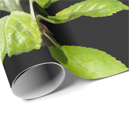 Spring Apple Blossom Wrapping Paper Matte Cadeaupapier (Rol Hoek)