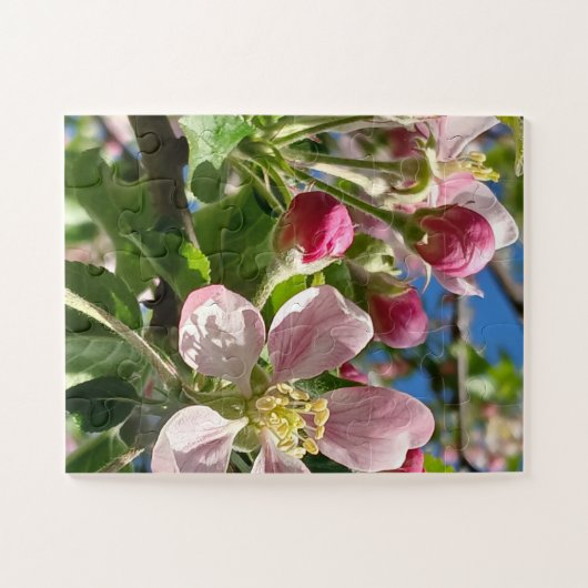 Spring Apple Blossoms Legpuzzel (Horizontaal)