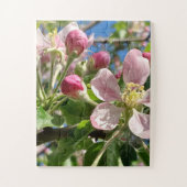 Spring Apple Blossoms Legpuzzel (Verticaal)
