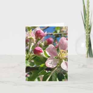 Spring Apple Blossoms Notitiekaartje