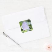 Spring Azure Butterfly Sticker (Envelop)