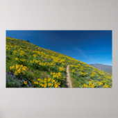 Spring Balsam Superbloom Poster (Voorkant)