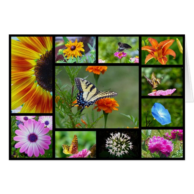 Spring Beauty (Voorkant Horizontaal)