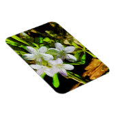 Spring Beauty a Paarse Wildflower Abstract Magneet (Rechterzijde)