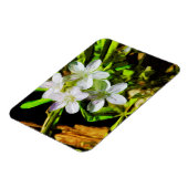 Spring Beauty a Paarse Wildflower Abstract Magneet (Linkerzijde)