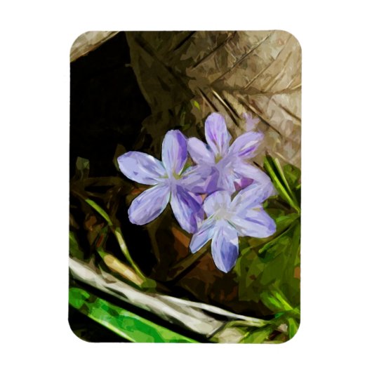 Spring Beauty a Paarse Wildflower Abstract Magneet (Verticaal)