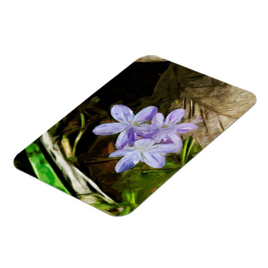 Spring Beauty a Paarse Wildflower Abstract Magneet (Linkerzijde)