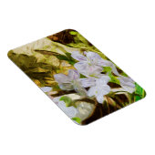 Spring Beauty a Wildflower Abstract Impressionisme Magneet (Rechterzijde)