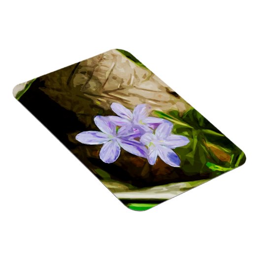 Spring Beauty a Wildflower Abstract Impressionisme Magneet (Rechterzijde)
